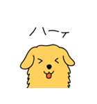 GOLDEN chan（個別スタンプ：3）