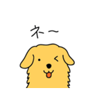 GOLDEN chan（個別スタンプ：6）