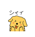 GOLDEN chan（個別スタンプ：11）