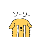 GOLDEN chan（個別スタンプ：12）