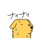 GOLDEN chan（個別スタンプ：15）