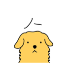 GOLDEN chan（個別スタンプ：16）