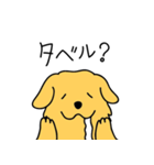GOLDEN chan（個別スタンプ：18）