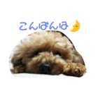 うちのいちごちゃん2（個別スタンプ：3）