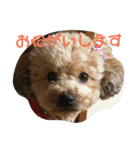 うちのいちごちゃん2（個別スタンプ：8）
