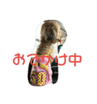 うちのいちごちゃん2（個別スタンプ：14）