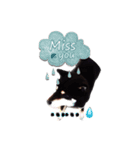 黒柴のルキくん（個別スタンプ：11）