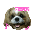 琥珀①（個別スタンプ：7）
