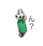 ジュマペールちょこ（個別スタンプ：5）