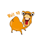 Camel 2（個別スタンプ：21）