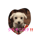 チーくんだよ2（個別スタンプ：5）