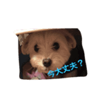 チーくんだよ2（個別スタンプ：7）