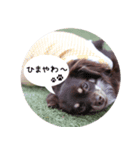 RURUKOKO*vol.2（個別スタンプ：2）
