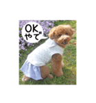 RURUKOKO*vol.2（個別スタンプ：8）
