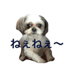はぁちゃん001（個別スタンプ：3）