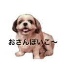 はぁちゃん001（個別スタンプ：4）