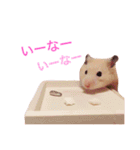 キンクマハムのCiel 2（個別スタンプ：10）