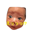 いろ.あきのスタンプ（個別スタンプ：1）