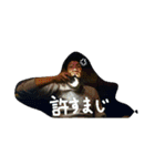 ちゅんです。（個別スタンプ：7）