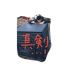 ちゅんです。（個別スタンプ：13）