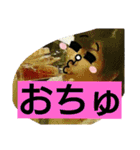 ハルマキ〜ハルとマキ〜（個別スタンプ：26）