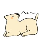 やさしい顔の犬（個別スタンプ：1）