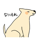 やさしい顔の犬（個別スタンプ：3）