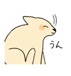 やさしい顔の犬（個別スタンプ：5）