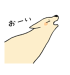 やさしい顔の犬（個別スタンプ：8）