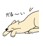 やさしい顔の犬（個別スタンプ：10）