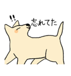 やさしい顔の犬（個別スタンプ：12）