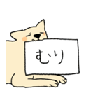 やさしい顔の犬（個別スタンプ：15）
