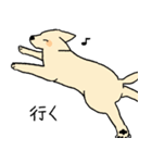 やさしい顔の犬（個別スタンプ：16）