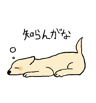 やさしい顔の犬（個別スタンプ：18）