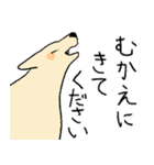 やさしい顔の犬（個別スタンプ：20）