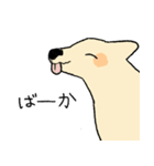 やさしい顔の犬（個別スタンプ：25）