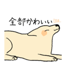 やさしい顔の犬（個別スタンプ：26）