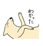 やさしい顔の犬（個別スタンプ：27）