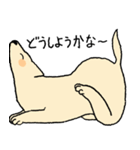やさしい顔の犬（個別スタンプ：31）