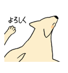 やさしい顔の犬（個別スタンプ：32）