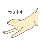 やさしい顔の犬（個別スタンプ：34）