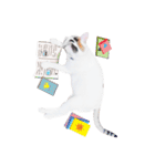 Clearly expressive cat（個別スタンプ：13）