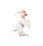 Clearly expressive cat（個別スタンプ：18）