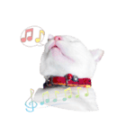 Clearly expressive cat（個別スタンプ：19）