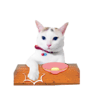 Clearly expressive cat（個別スタンプ：21）