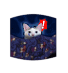 Clearly expressive cat（個別スタンプ：26）