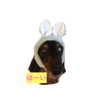ももとはな（個別スタンプ：4）