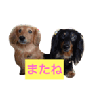 ももとはな（個別スタンプ：5）
