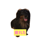 ももとはな（個別スタンプ：6）