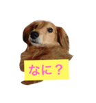 ももとはな（個別スタンプ：7）
